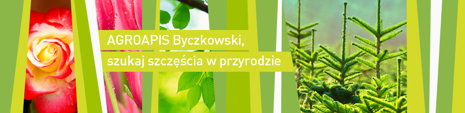 Byczkowski szkółka roślin krzewów iglastych liściastych Polska